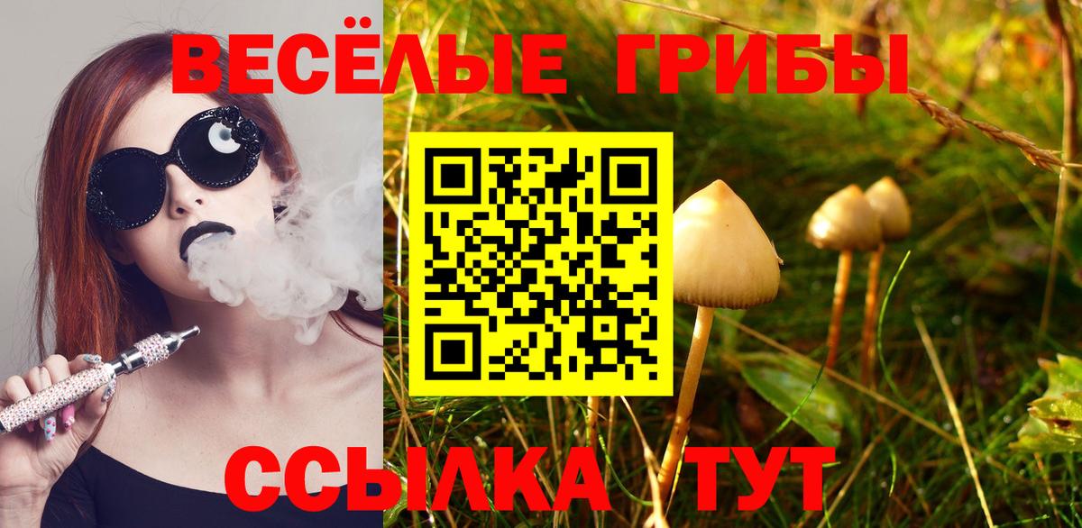 Галлюциногенные грибы ЛСД  Вход с VPN  Ангарск 